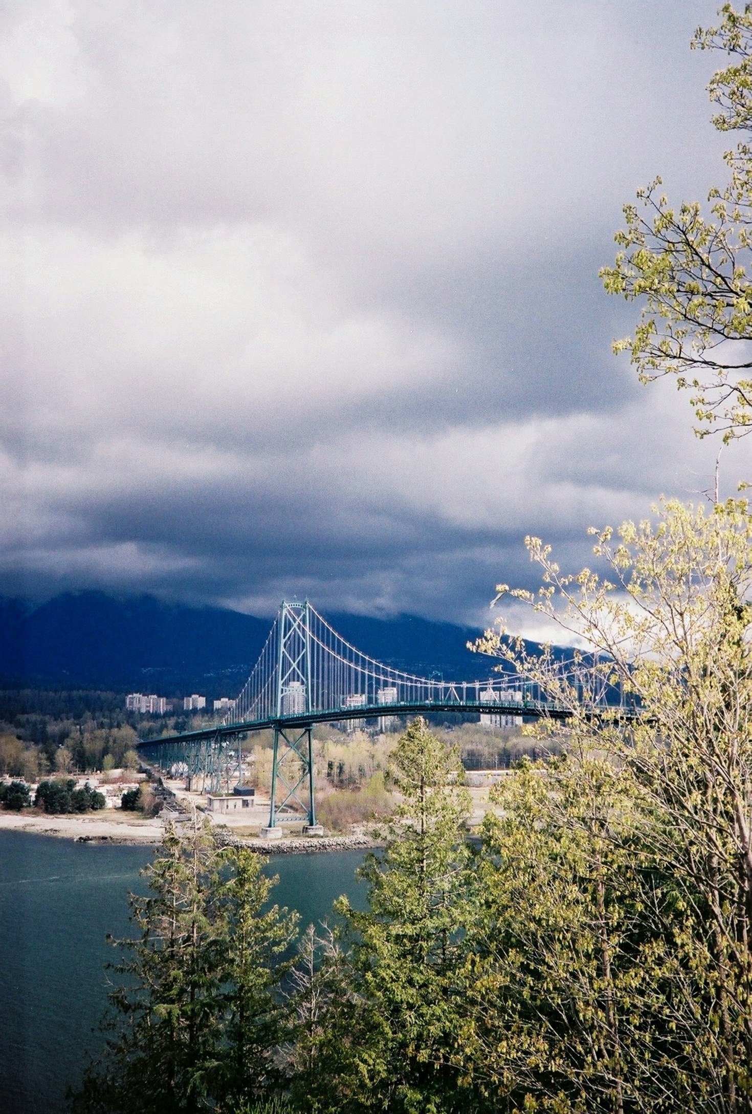 How Vancouver’s Community Events Build Connections